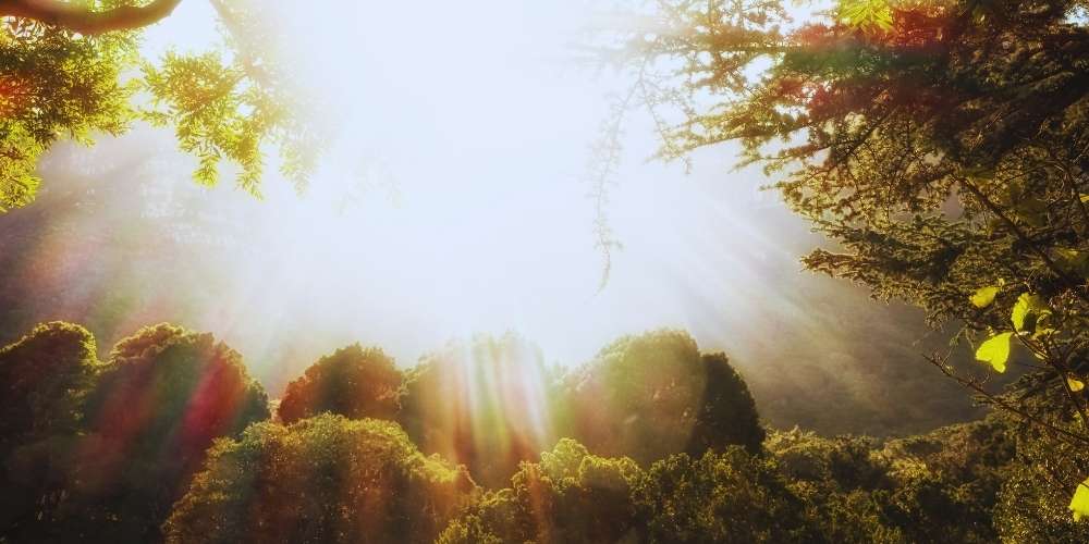 Jardim do Éden na Bíblia