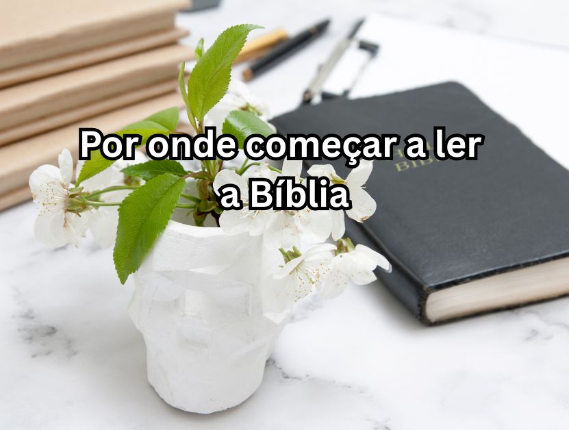 Por onde começar a ler a Bíblia