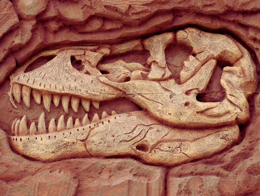 Dinossauros existiram mesmo? O que a ciência diz?